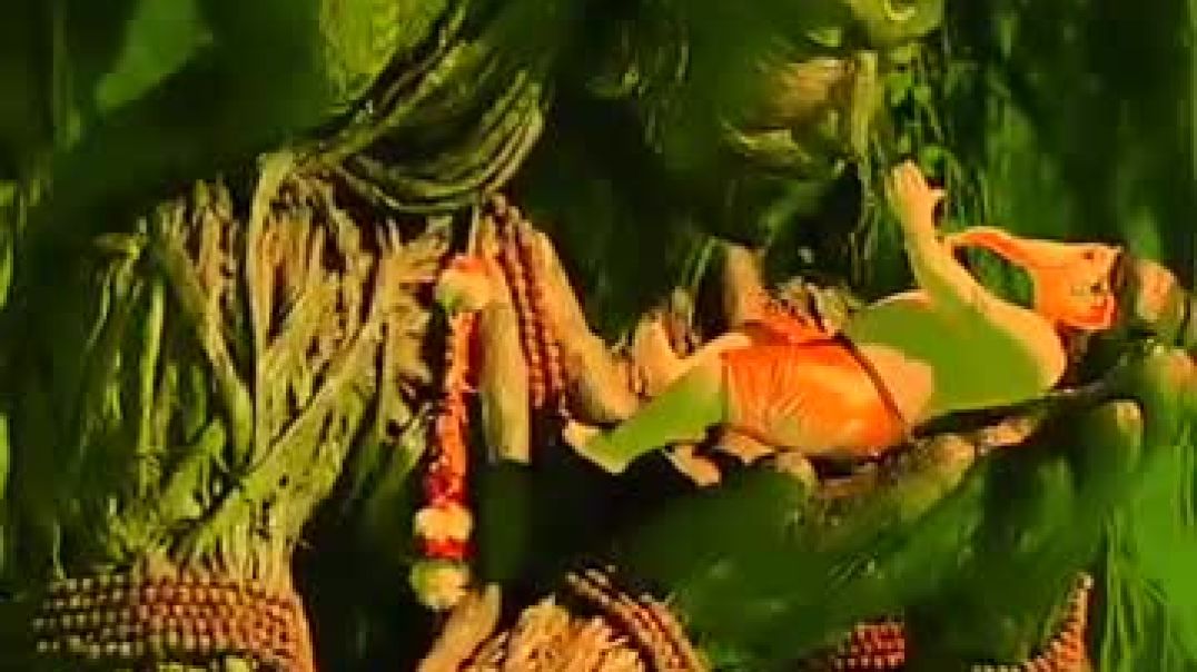 ⁣Mahadev Short status video