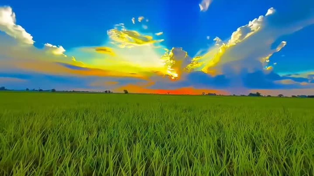 ⁣Cute Gaon 🥰😊