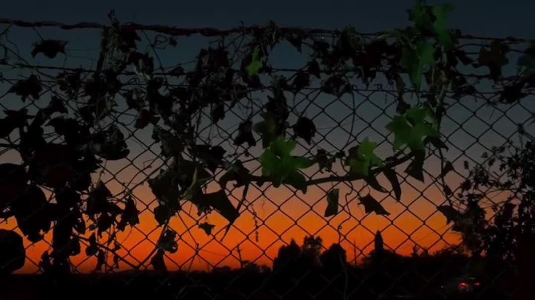 VID_20251209_045310_436