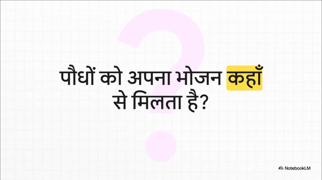 ⁣11th Biology Chapter 11 प्रकाश_संश्लेषण__पौधे_दुनिया_बनाते_हैं