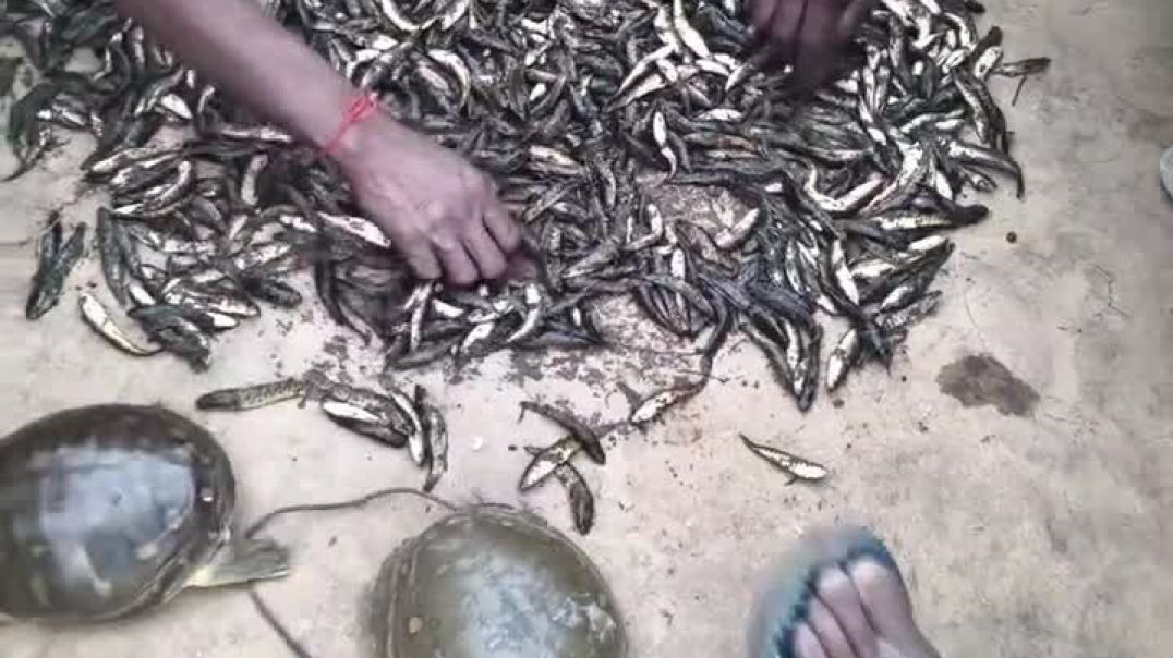 ⁣#fish#fish fry#fishing life