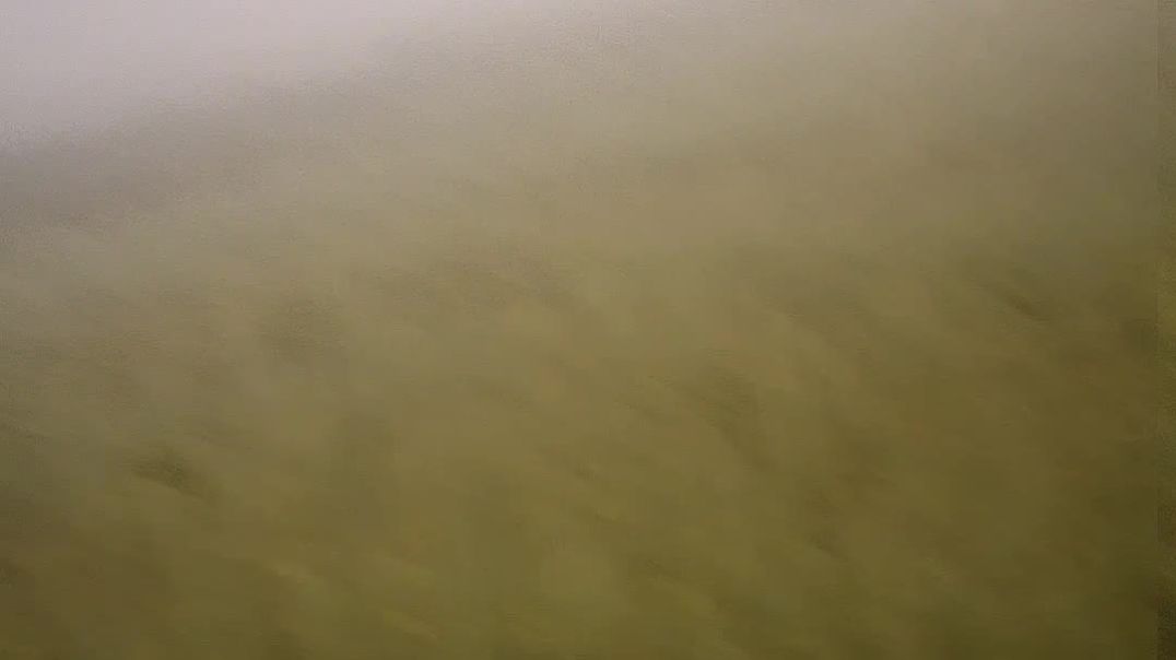 InShot_20251215_074218354