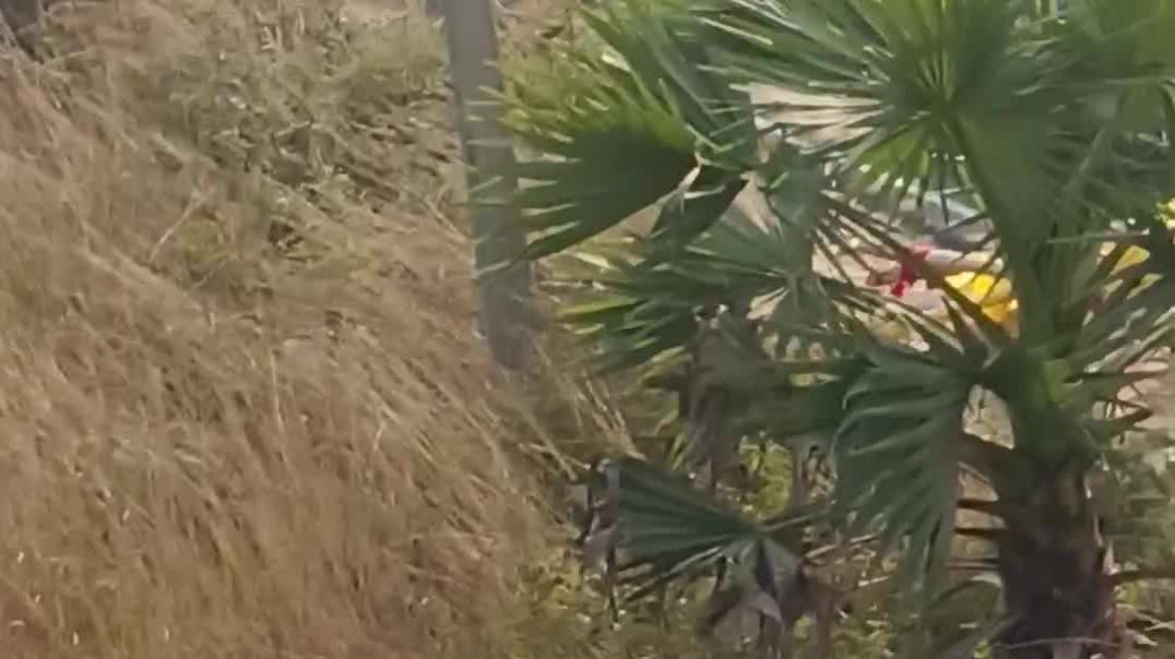 ⁣इस बच्चे को देखो भाई कितना दर्द में है#बिहार #वीडियो #वायरल #इंडिया