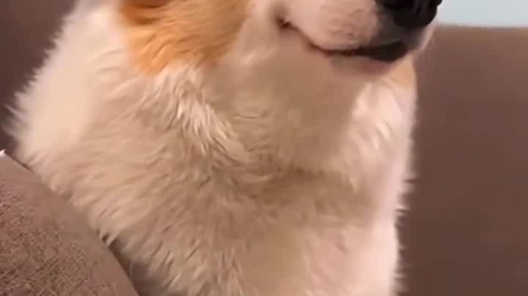 ⁣VID-20251216-WA0004