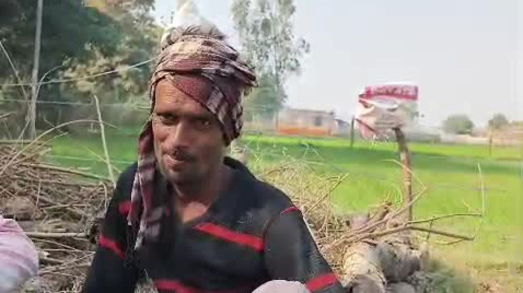 ⁣VID-20251209-WA0002