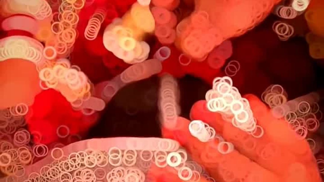 ⁣ladate_ladate_ek_din_hum_dono_#wedding_#shortfeed_#feeling(720p)