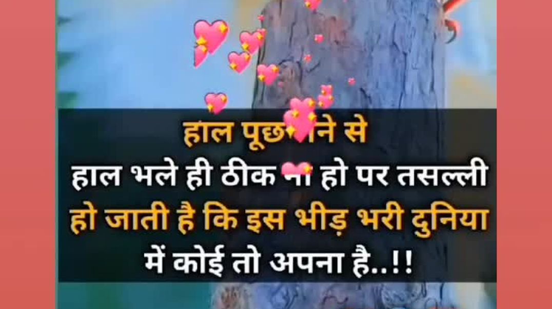 VID_20251206_013850_894