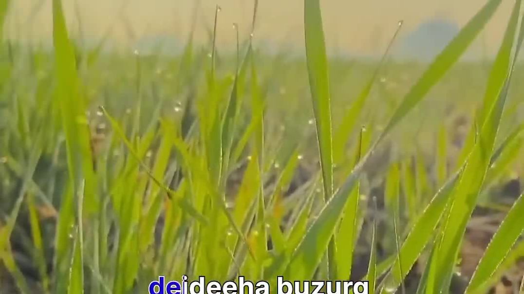 ⁣farmer_WhatsApp_Status___farmer_Song_Status____WhatsApp_Status___ #Shorts#Status(720p)