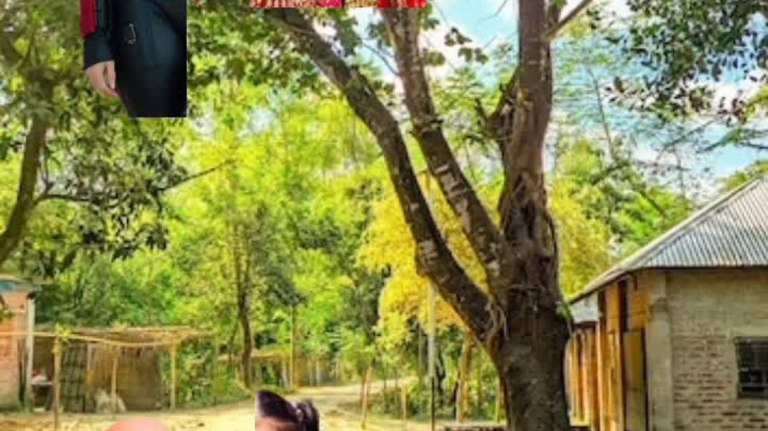 ⁣Motu Patlu Magic VFX