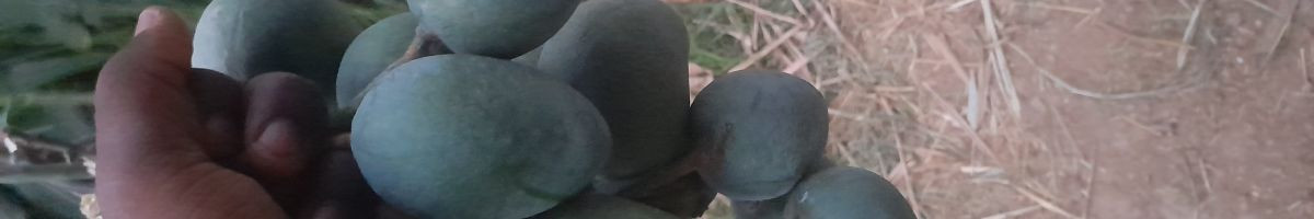 103631644717300931876 