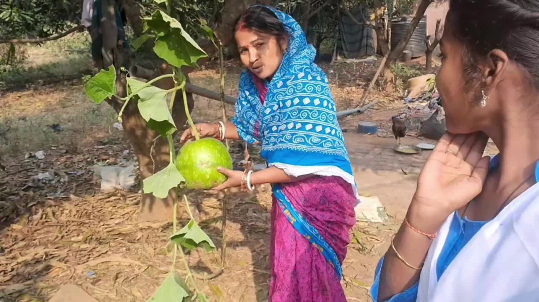 ⁣Village lifestyle blog 👍 odia mini vlog #blog #lifestylevideo #viralvideo