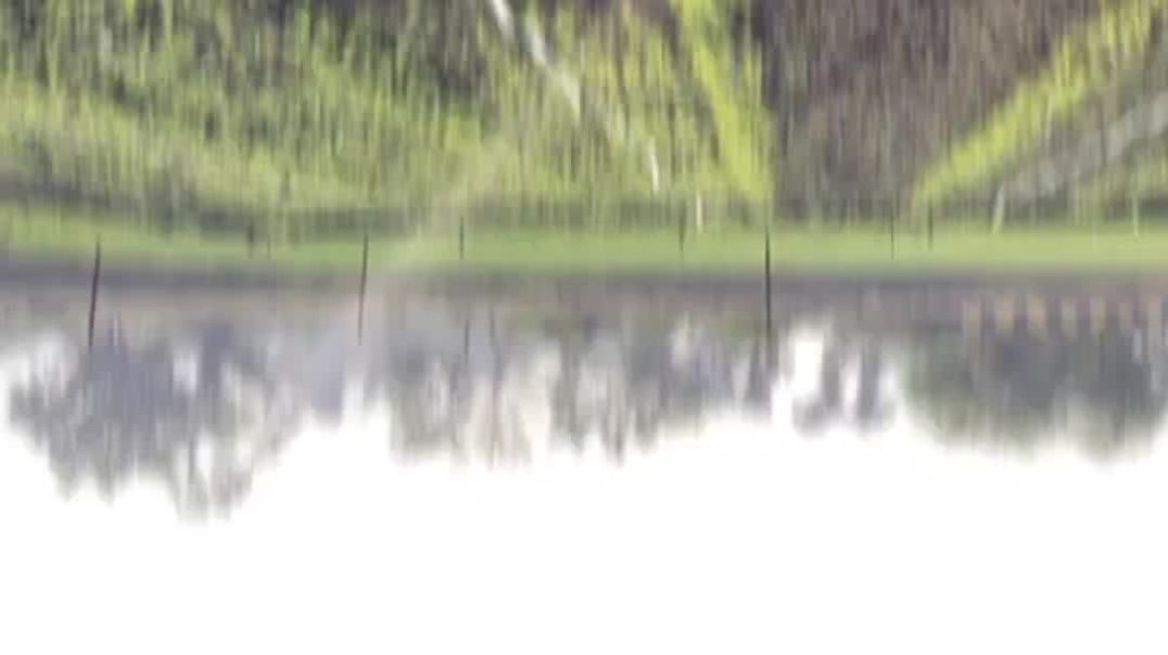 Sawaliya sethji ki kripa