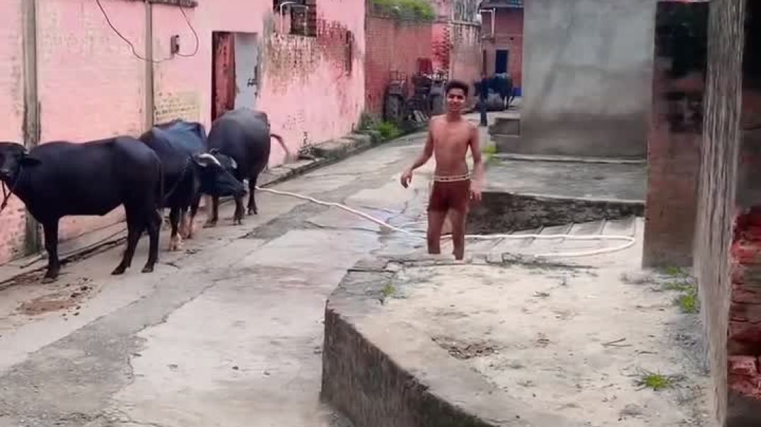 VID_20250815_225106_270