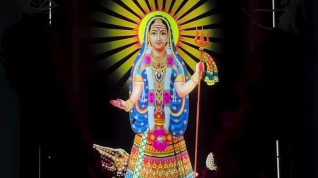 VID_20251211_044200_179