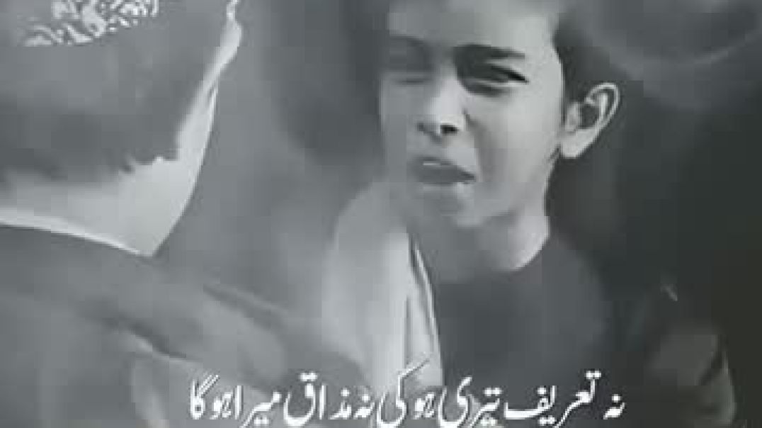 ⁣Shayari_💯(360p)