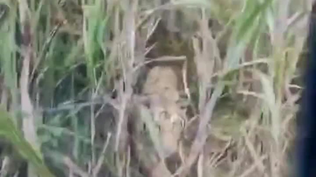 ⁣amarujala-20251210-0001