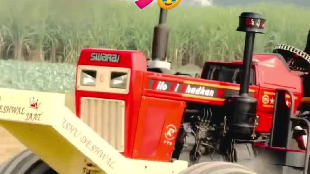 ⁣Chouhan king viral video shorts Chouhan king 🤴