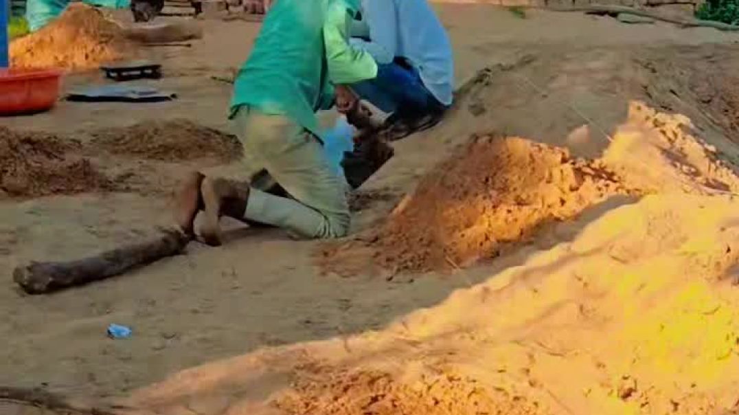 ⁣Gujarati Vlog Video