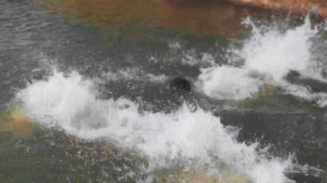 ⁣Attitude video #attitude #shorts #video