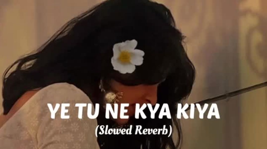 ⁣Yeh Tune Kya Kiya _ Lofi Slowed   Reverb Vibes _ Javed Bashir _VMelodies00(360P)