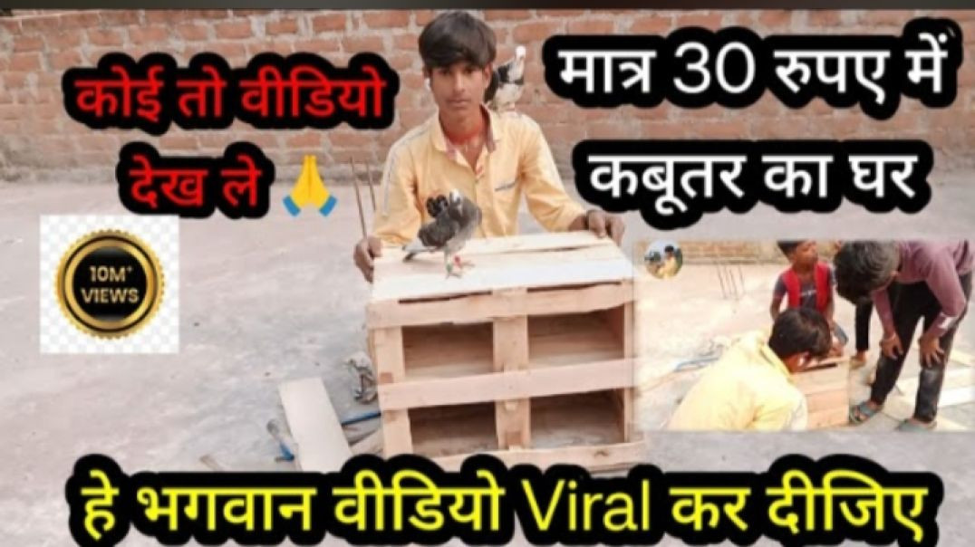 ⁣Matr 30 rupees me kabootar ka ghar