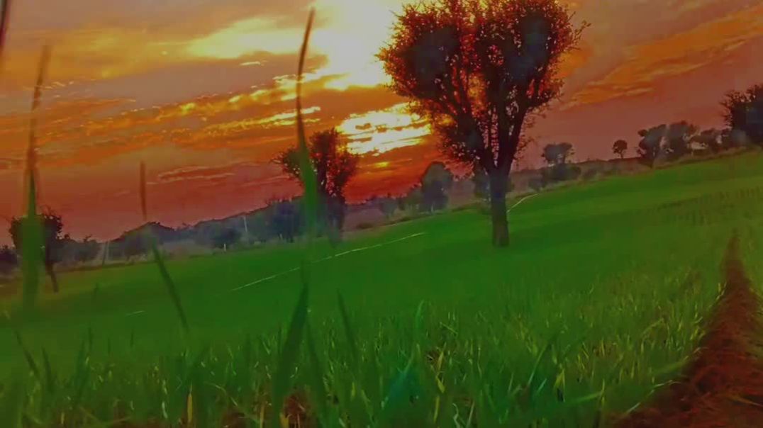 Instauser - ramo_farmer__