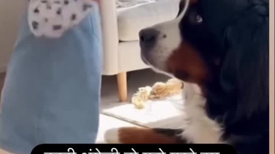 ⁣Trending#vairal#bache#fany video