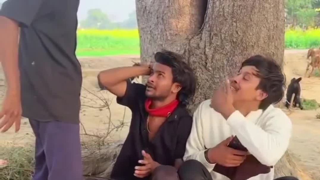 VID_20251206_115647_188