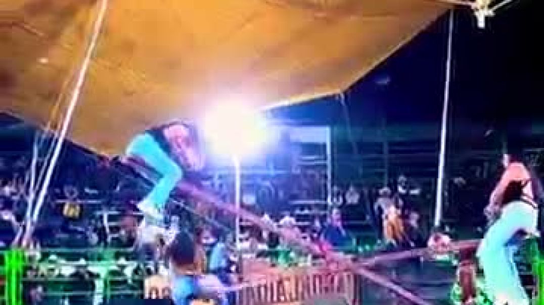 ⁣new_circus_game_unlock_#viralshort_#trendingreels_#shortsfeed_#circusworld_#circusinternational(360p