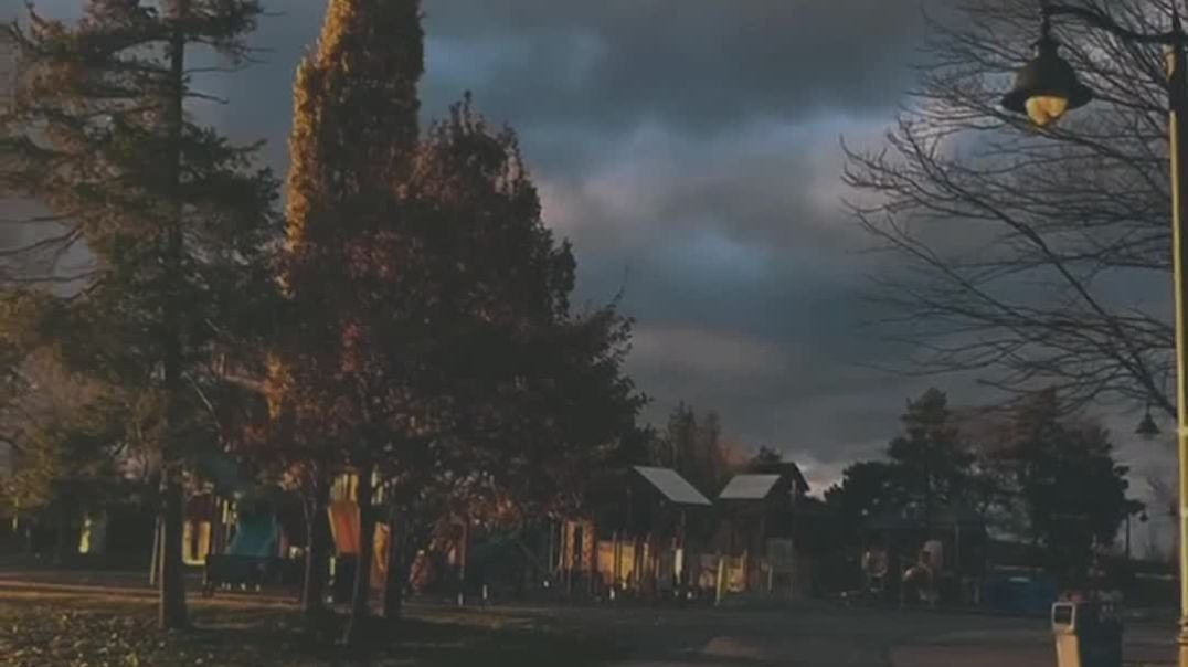 VID_20250304_023128_091