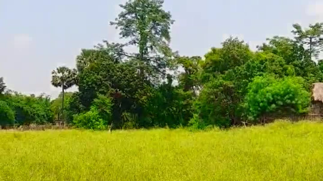 ⁣बाप रे बाप इतनी गर्मी  #comedy #funny #shortsfeed #shorts #shortvideo