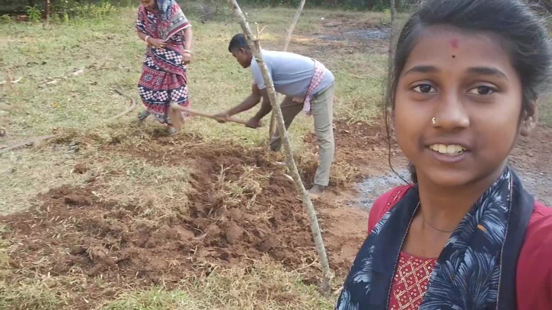 ⁣odia village blog 👍🙏 #blog #odiablog #vlog