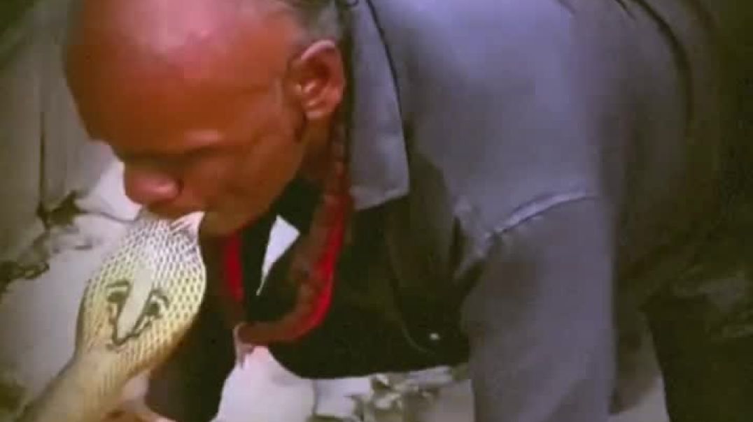 ⁣Wait for End 💀 Bihari Power 😎🔥#🎂要怎麼不經意的讓另一一半看到這篇文👀 儀式感滿滿🈵🔜蛋糕小熊蠟燭旋轉褸盒🕯️ 嘿~閉上眼睛～許個願吧✨ 希望你的