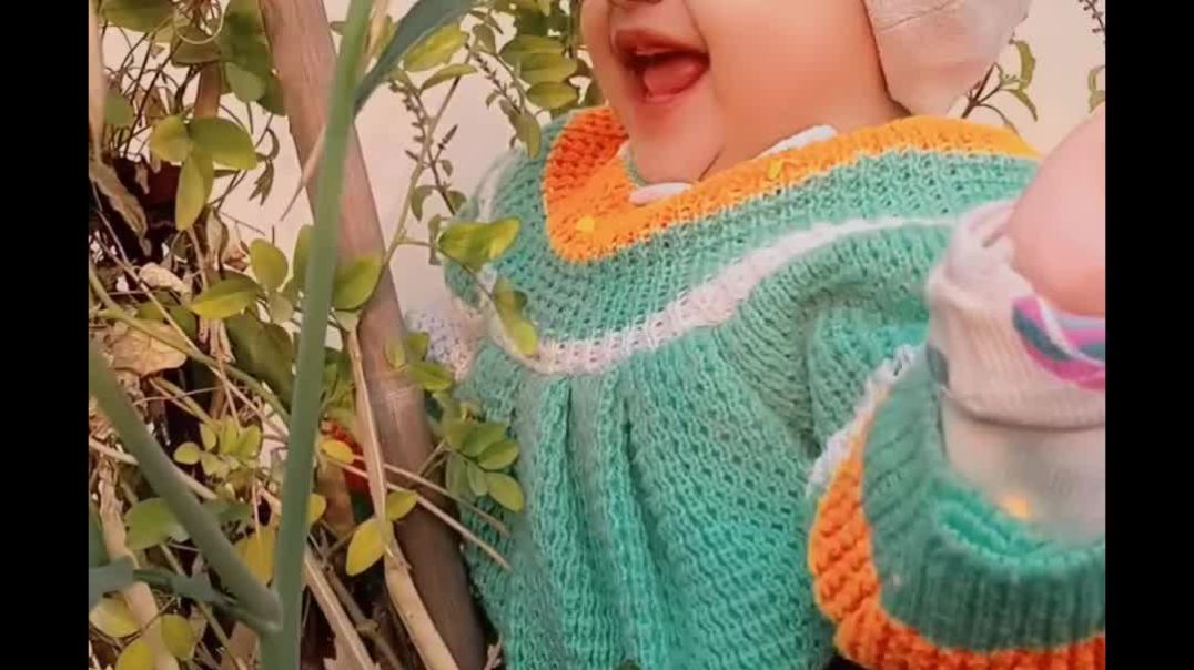 InShot_20251227_144703963