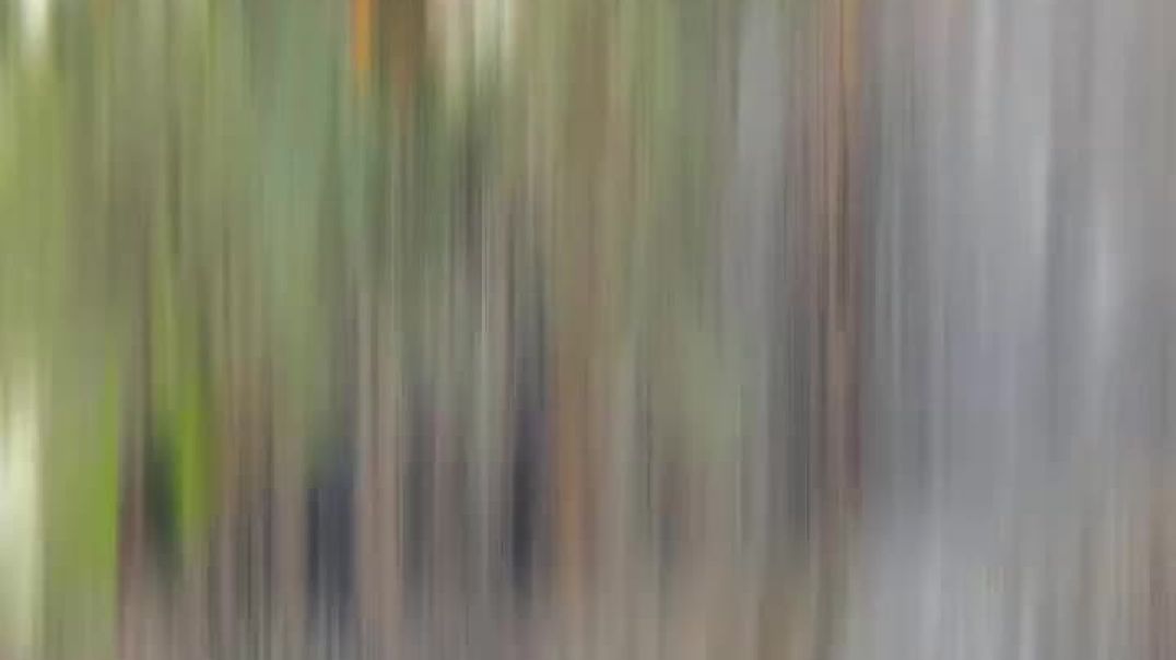 ⁣#trending #viralvideo