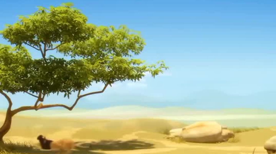 ⁣सेर की life का आखरी दिन😆😆😆😆😆😆😆