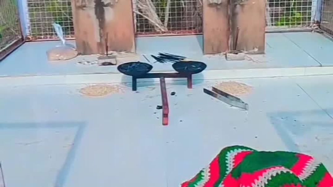 VID_20250621_204251_388