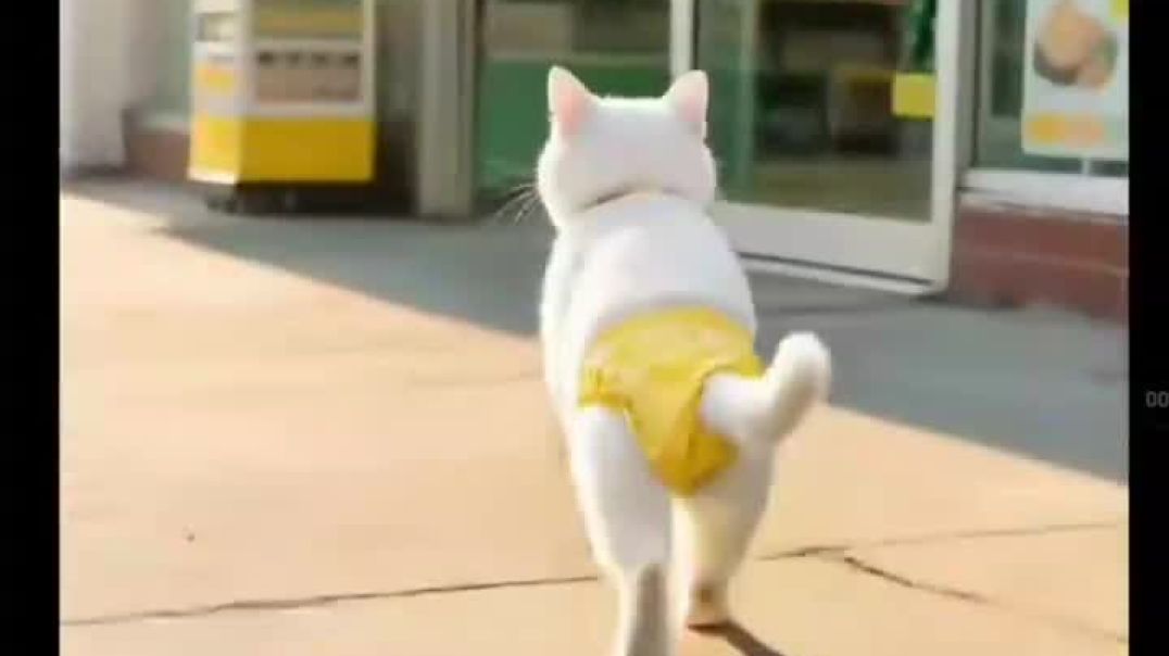 ⁣December 23, 2025