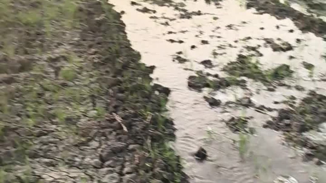 ⁣Beautiful nuthure