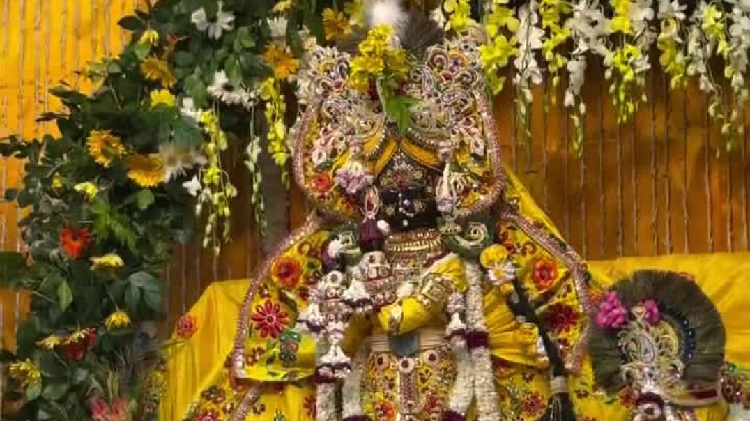 ⁣श्री लाडली जी 🫂❤️🙌