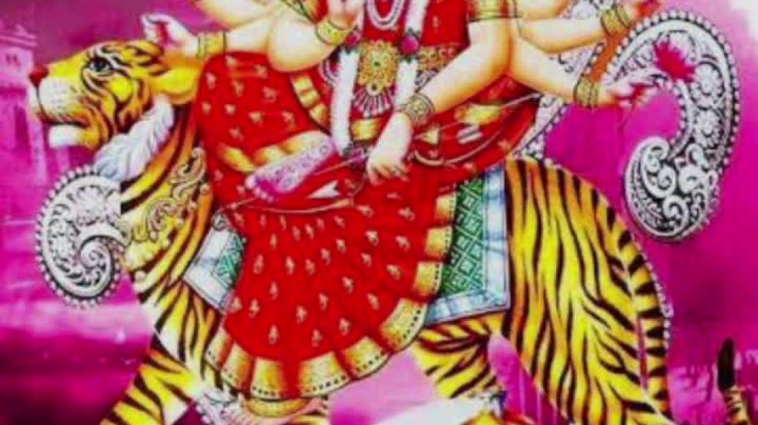 VivaCut_video_1758553564596_HD