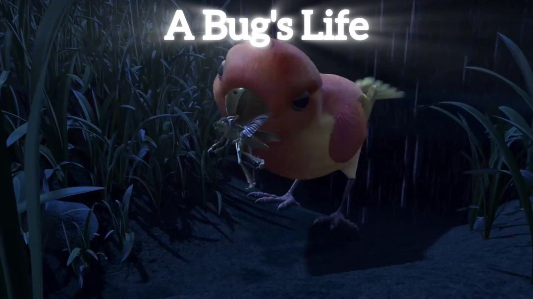 ⁣A Bug's Life