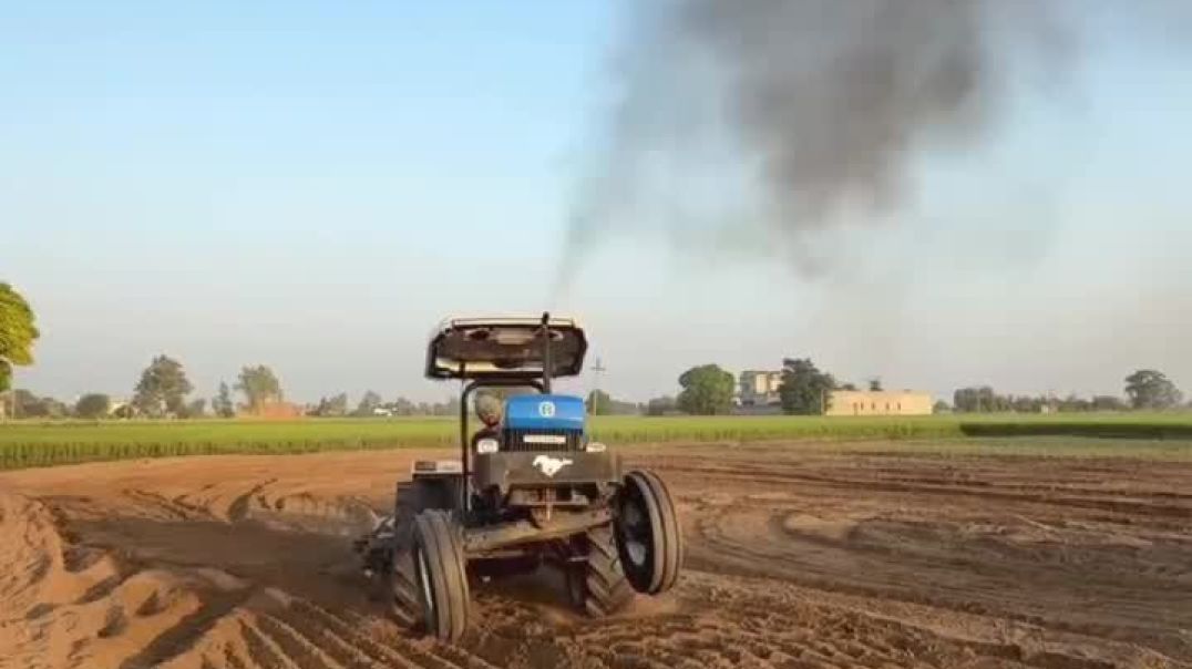 ⁣Chouhan king viral video shorts Chouhan king 🤴 ♥️ 🙌