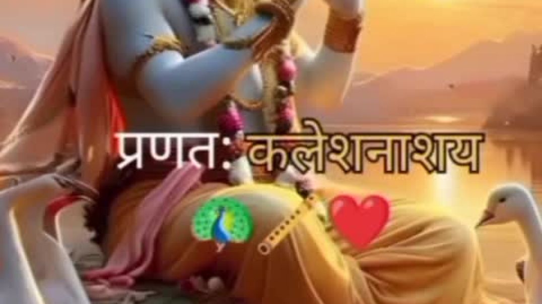 ⁣VID-20251121-WA0000