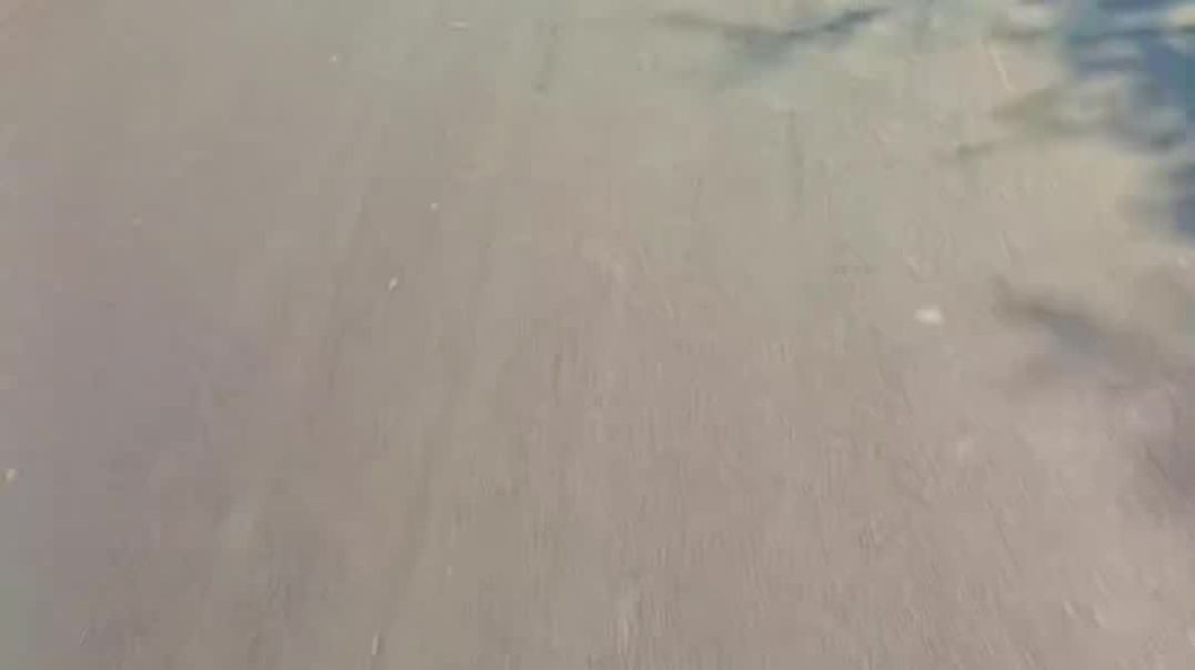 ⁣bullet per aaja beb