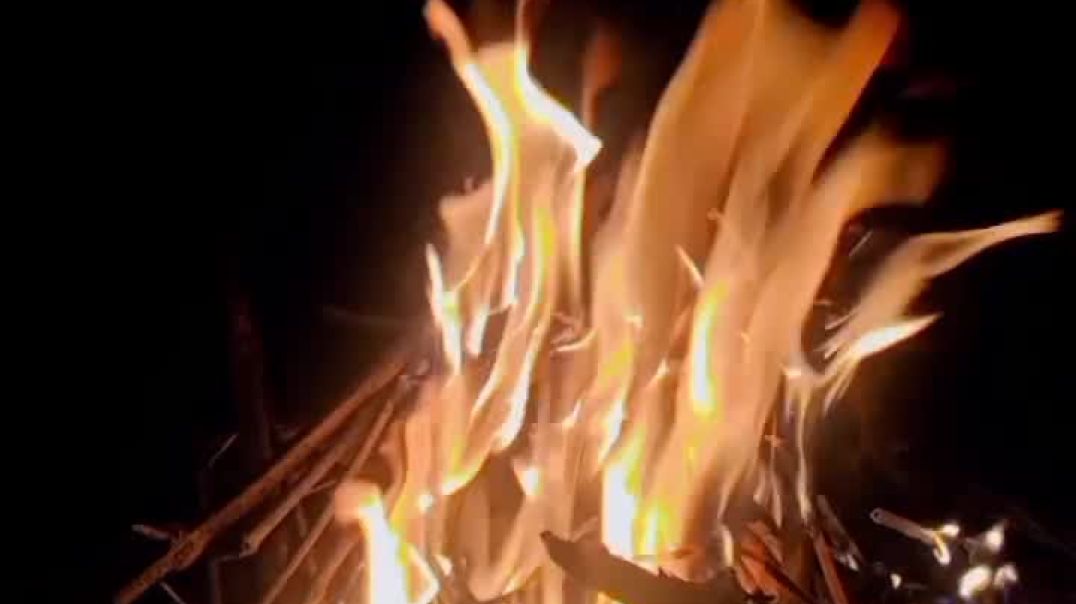 ⁣⚜️✨⚜️💯श्री कालाजी कृषि फार्म भटवाड़ा खुर्द#reels #rajasthan #farmerlife❤️🚜👑 #viralreels #vira