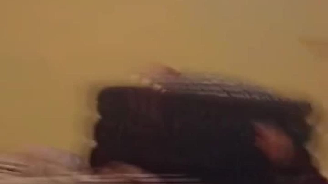 VID_20251220_083545_725