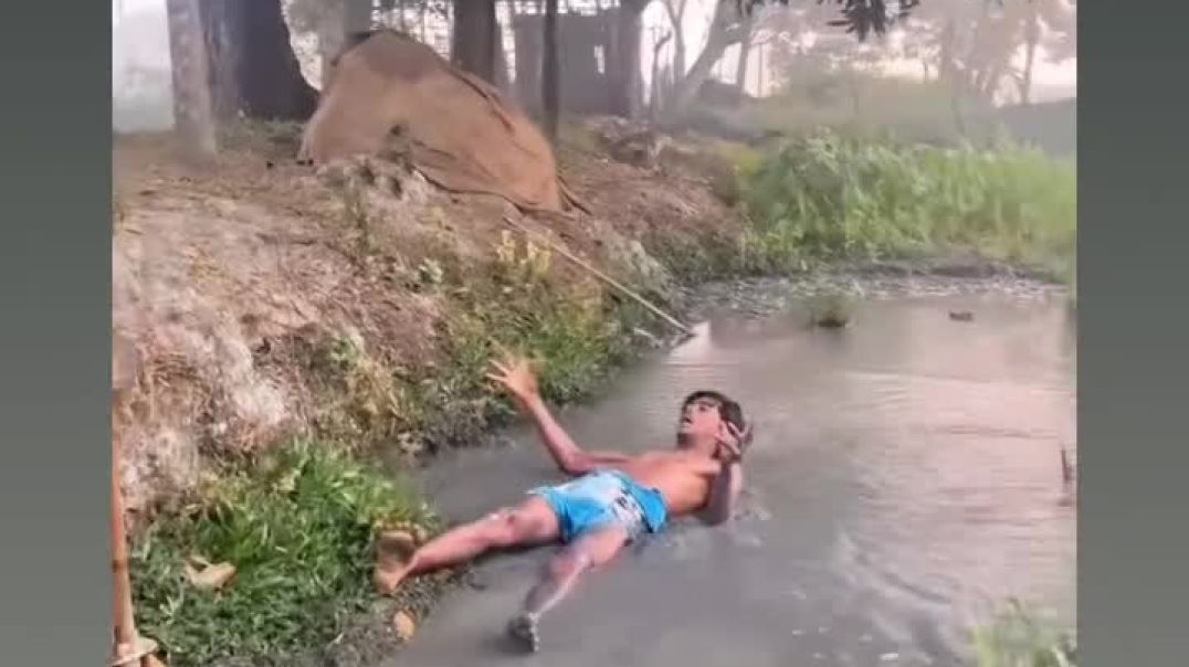 FB_VID_5564079877335046907