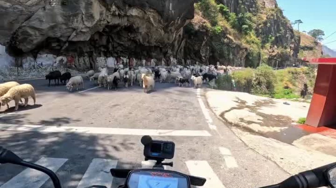 ⁣Jai Baba ki 🙏_