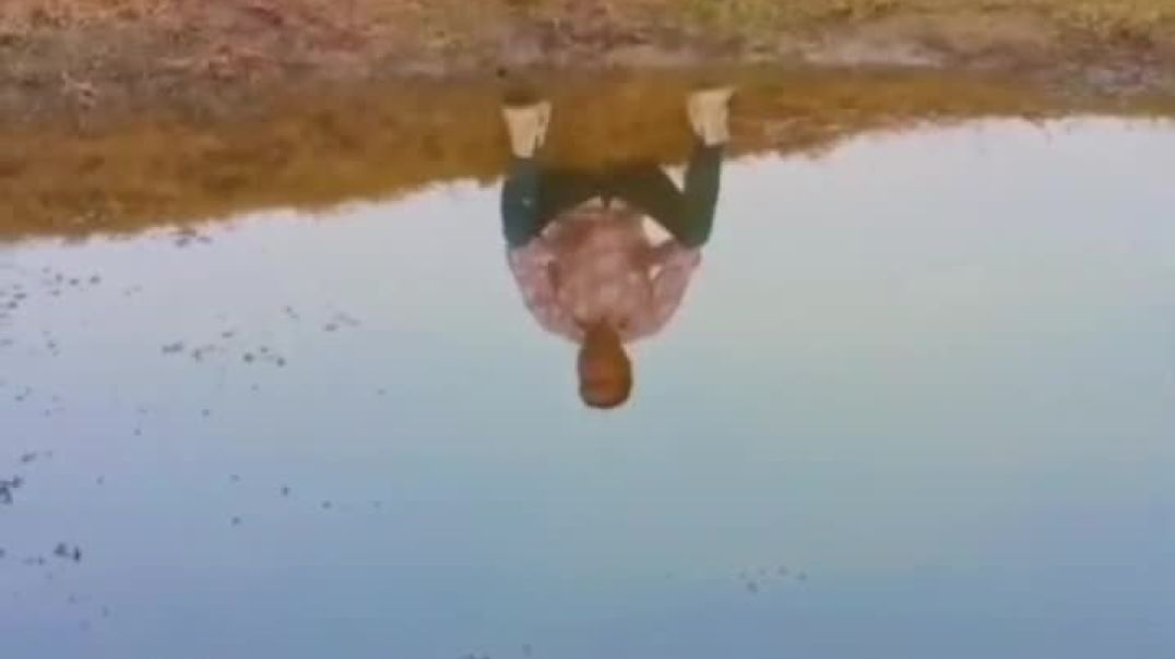 ⁣Kitani hasin ye shaam hai...